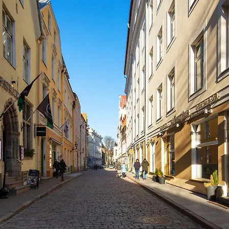 Bright Luxury 2bdr In Old Town Ταλίν